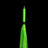 Martinet phosphorescent – Image 2